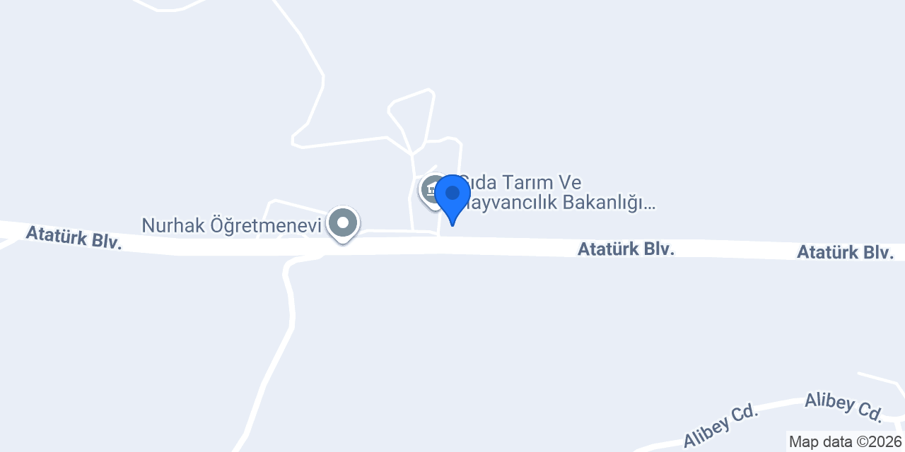 Emir halı yıkama konumu