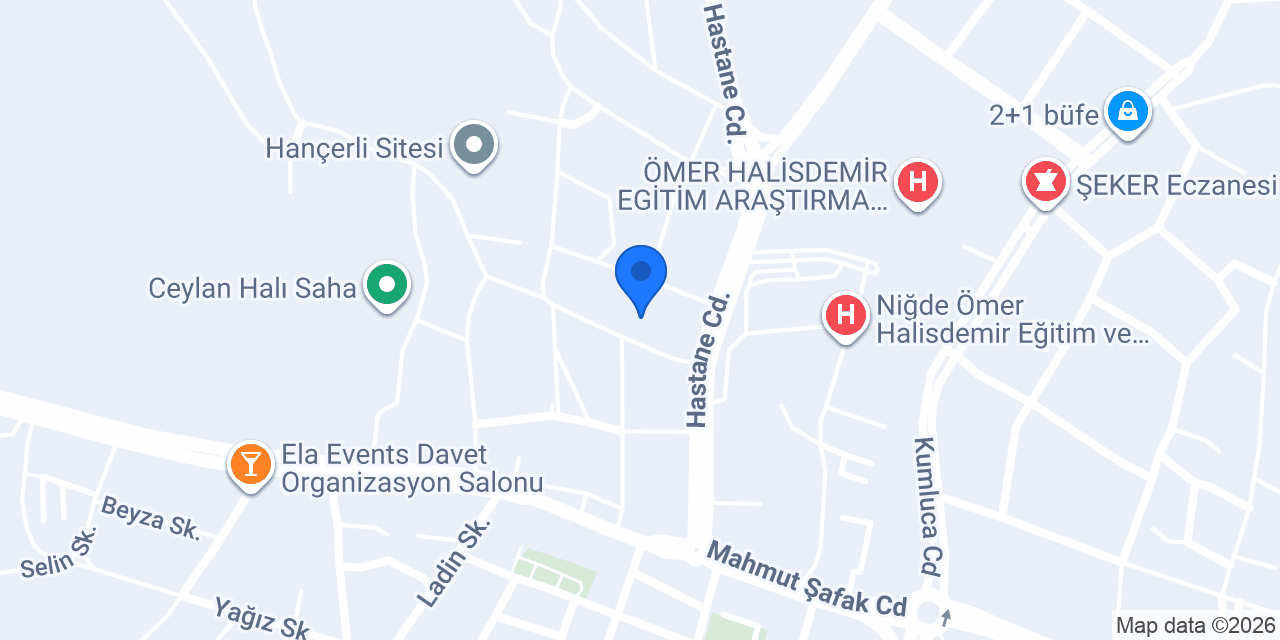 DrFeyza özçelik konumu