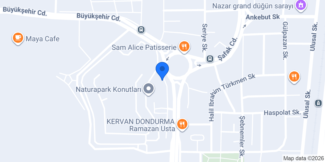 TRAŞHANE konumu