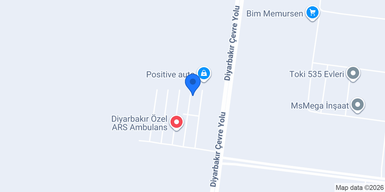 Asil Auto konumu