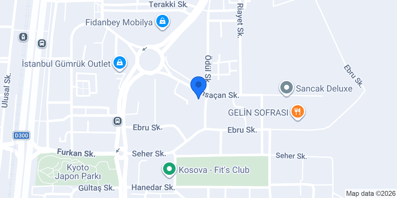Sürat Kargo Bosna Şube konumu