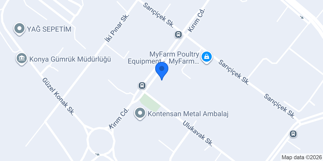 Arsan Delikli Saç konumu