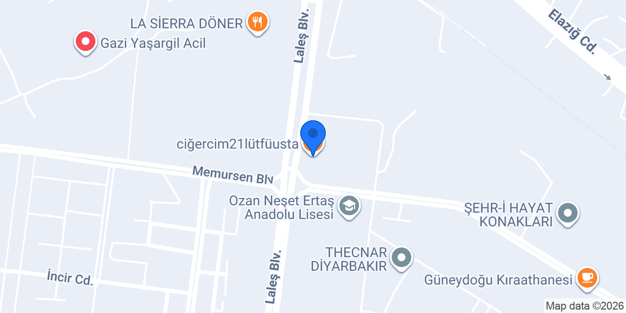 ciğercim21lütfüusta konumu