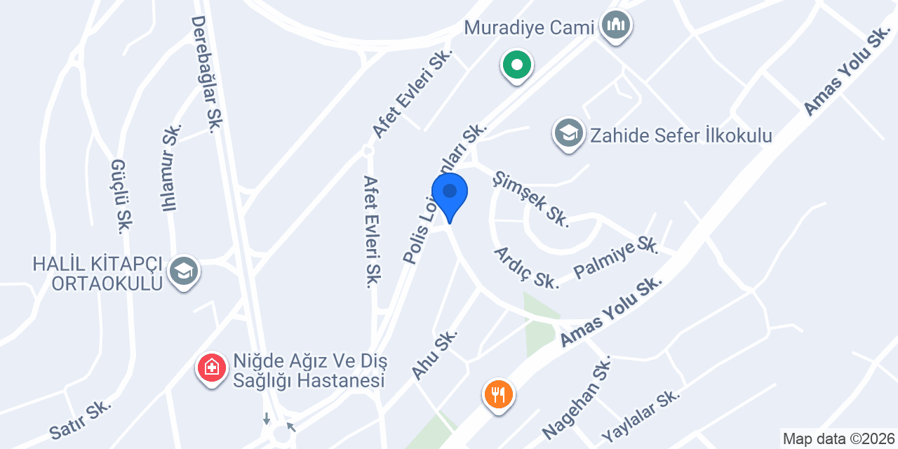 Toy gıda konumu