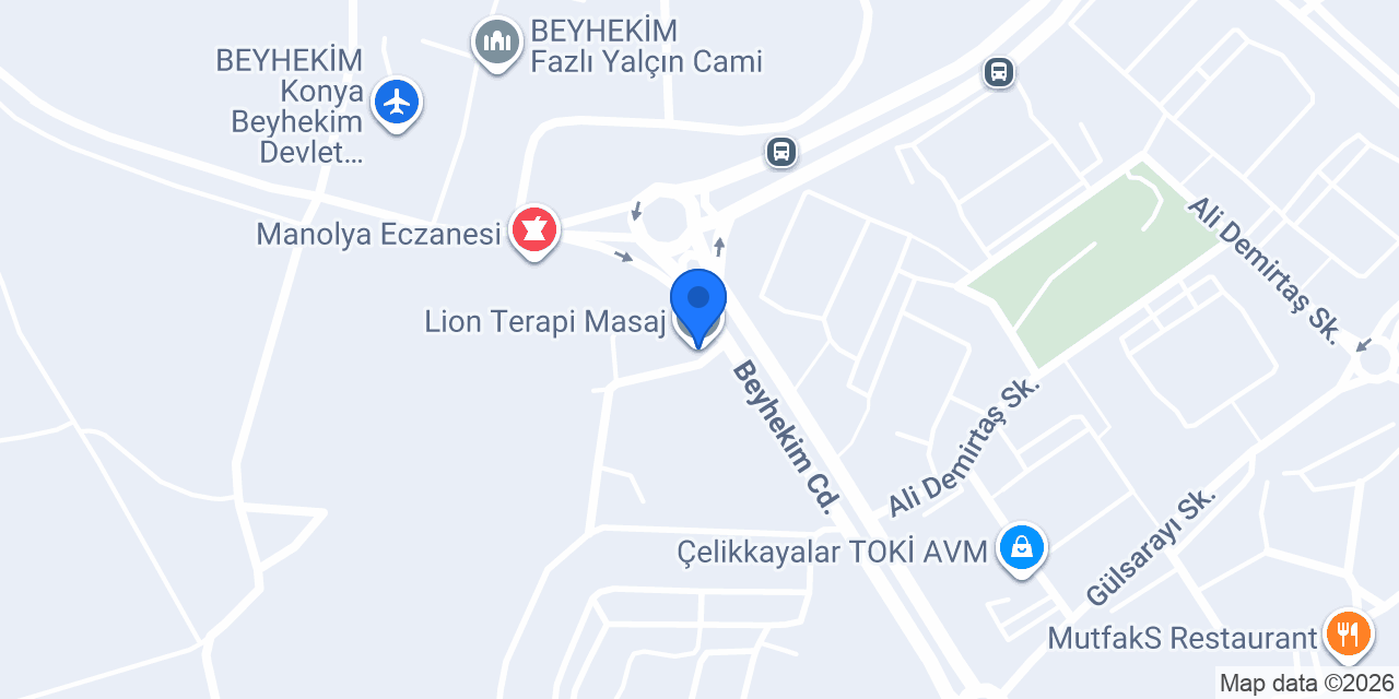 Lion Terapi Masaj konumu