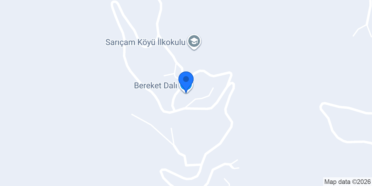 Bereket Dalı konumu