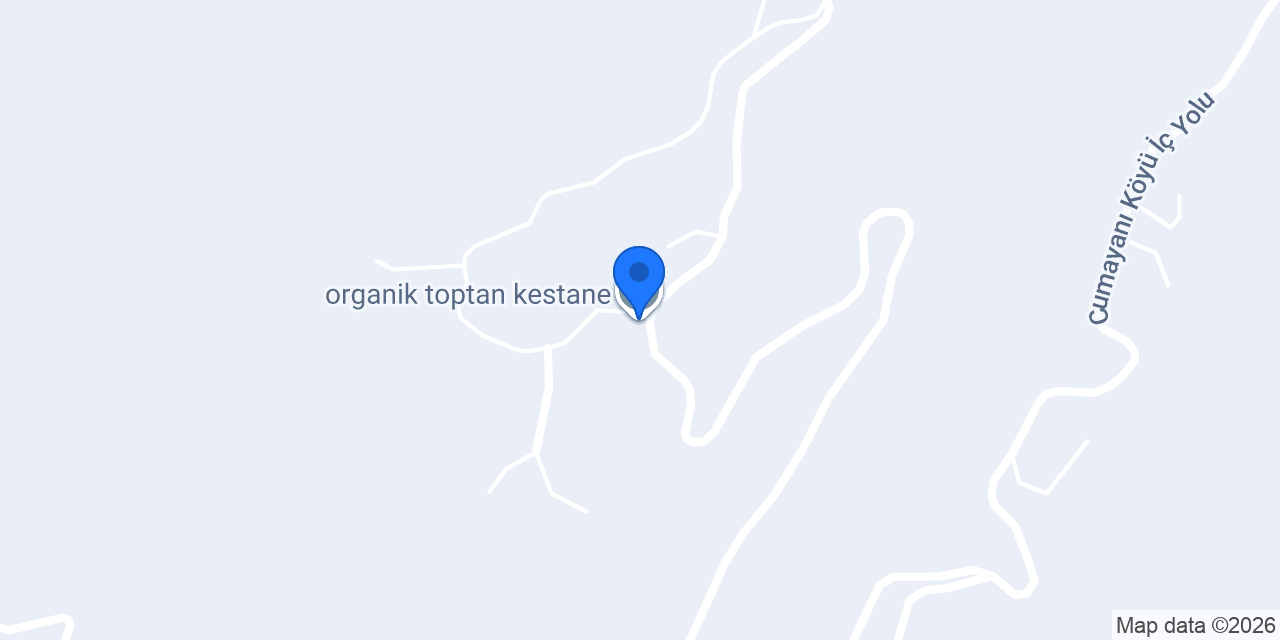 organik toptan kestane konumu