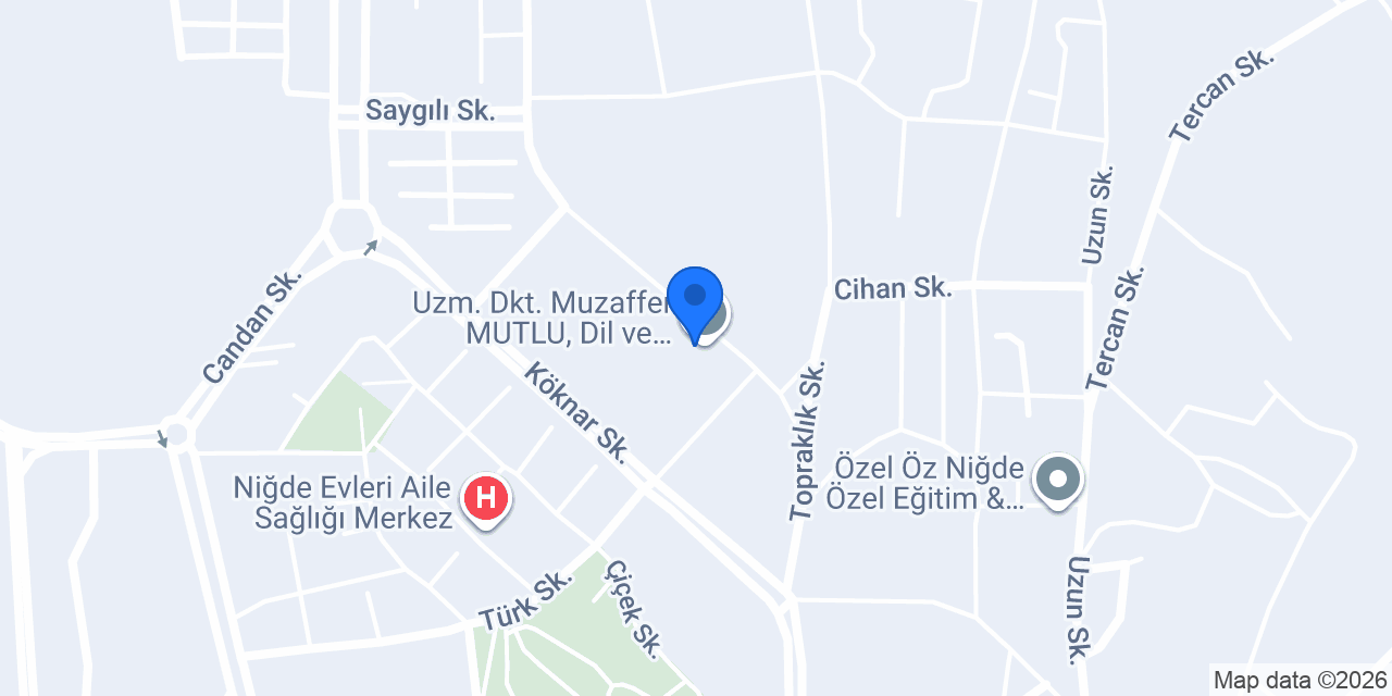 Disleksi Niğde konumu
