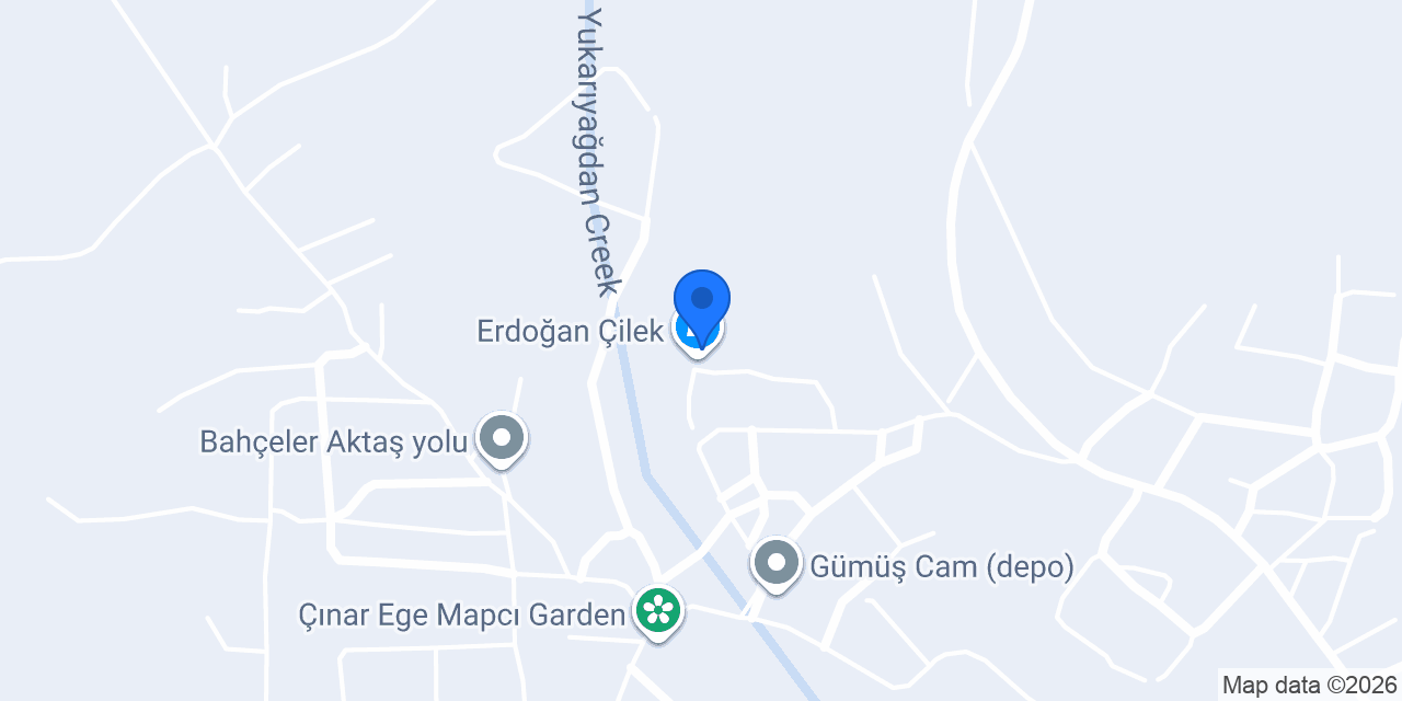Erdoğan Çilek konumu