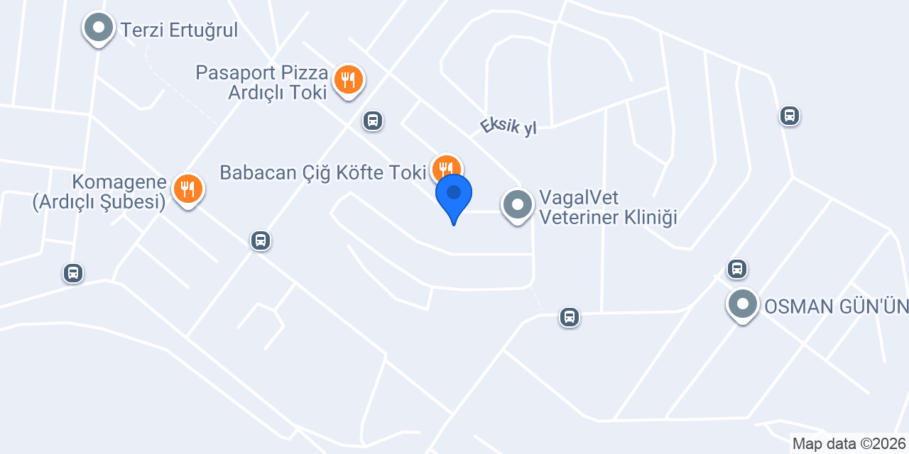 Ardıçlı arslan döner konumu