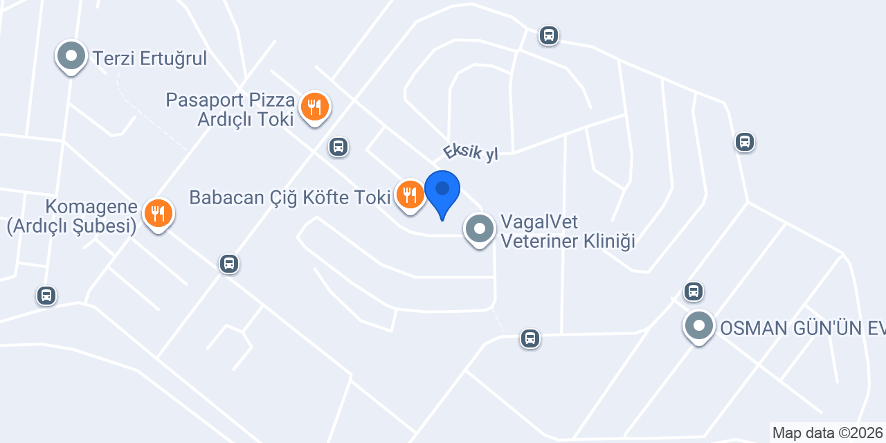 Selman Taşcı Food Express konumu