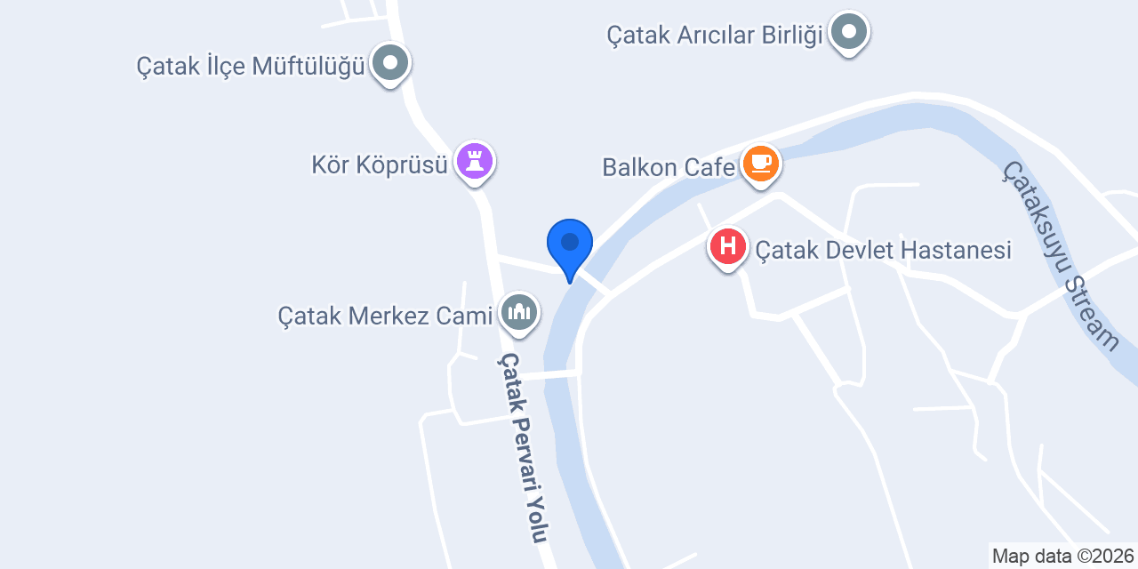 Kayalı Tic konumu