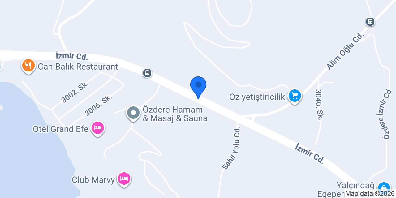 Şok konumu