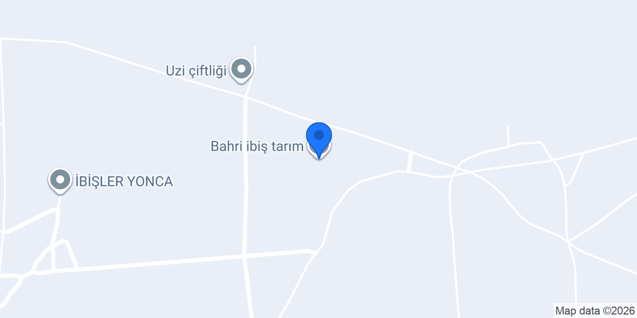 Bahri ibiş tarım konumu