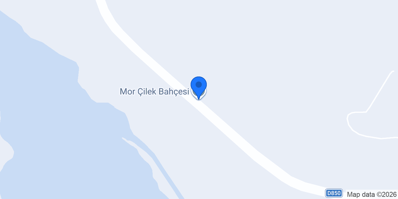 Mor Çilek Bahçesi konumu