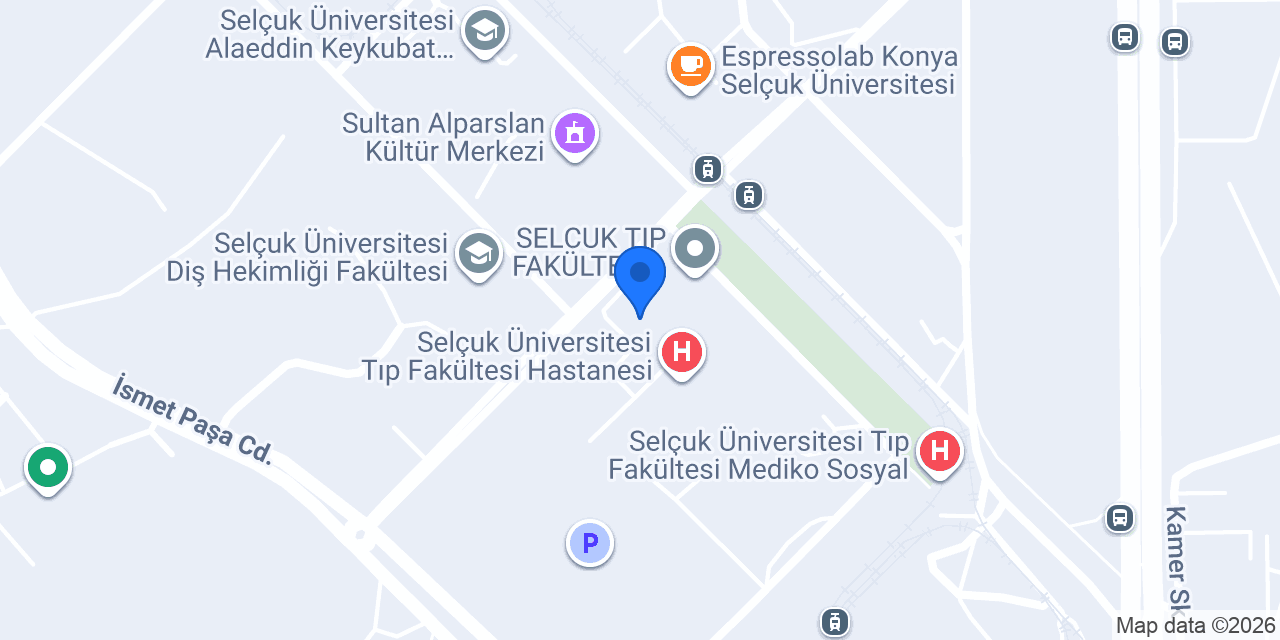 Prof. Dr. Tamer SEKMENLİ konumu
