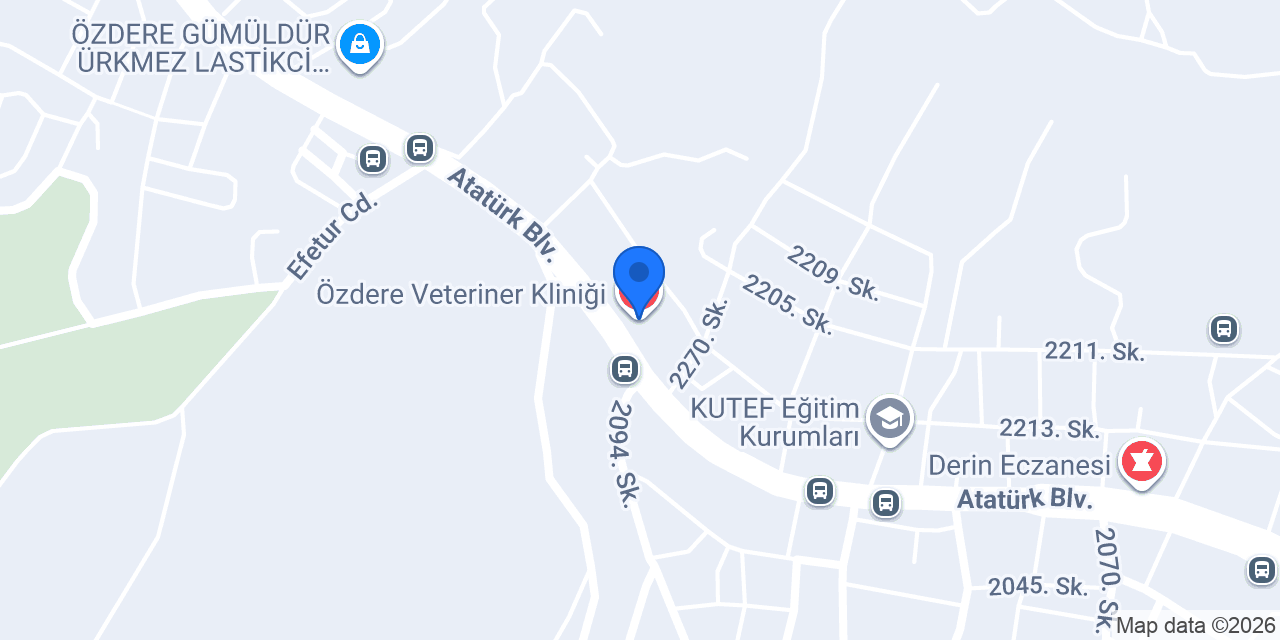 Özdere Veteriner Kliniği konumu