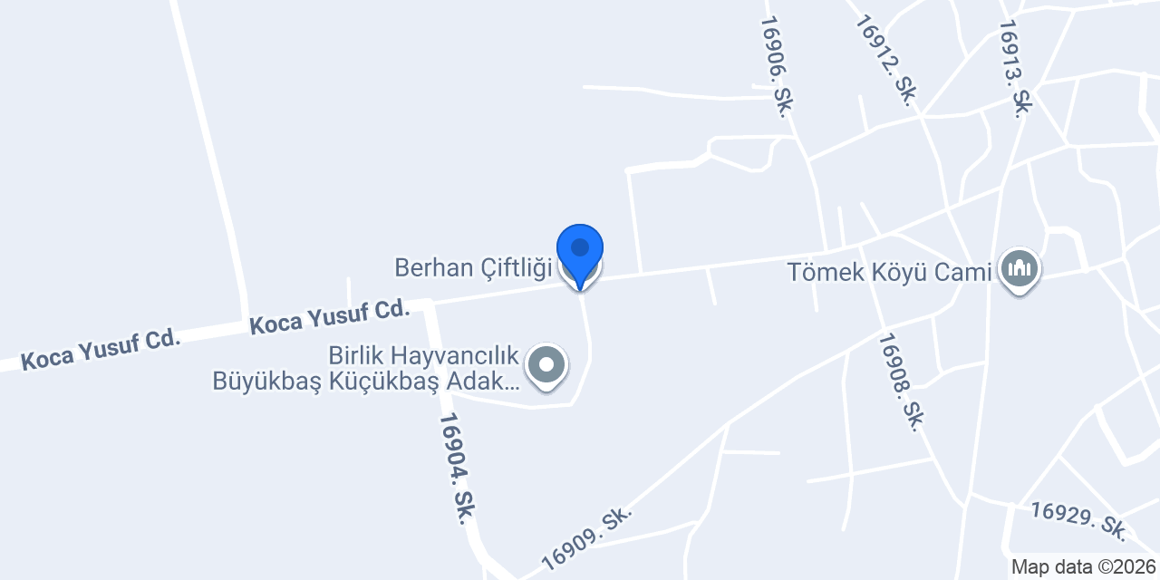 Berhan Çiftliği konumu
