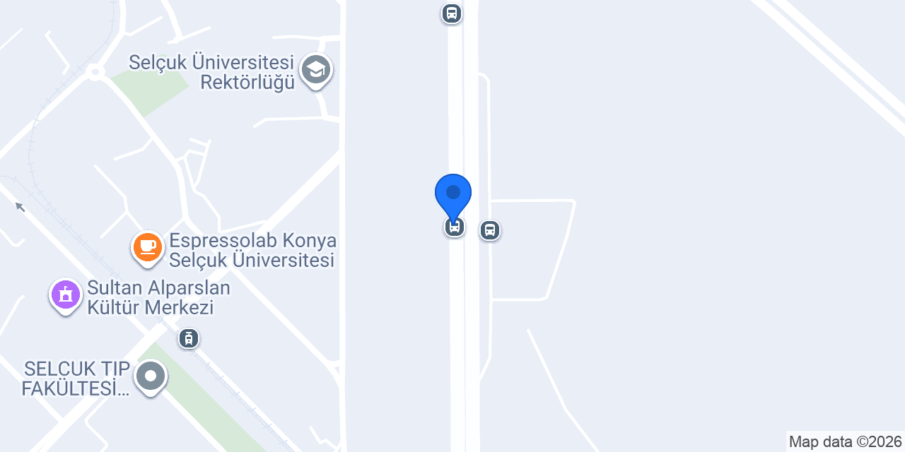 University of Selcuk konumu