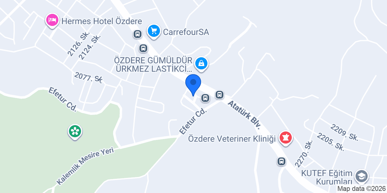 Özdere Arçelik Deniz Ticaret konumu