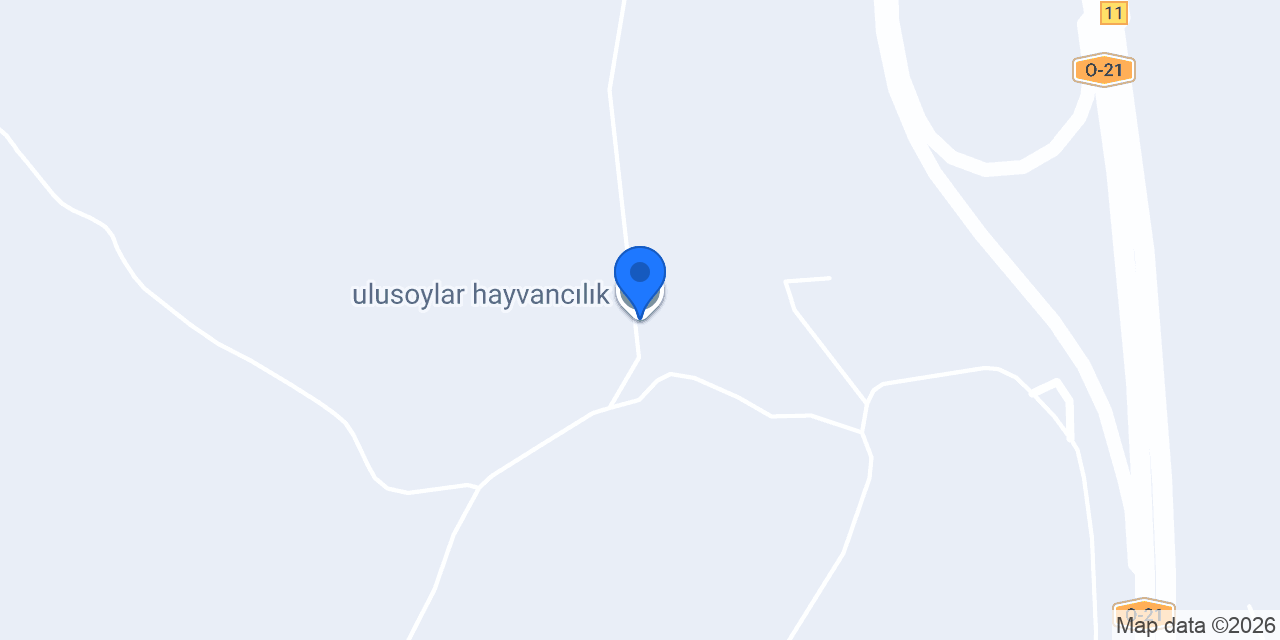 ulusoylar hayvancılık konumu