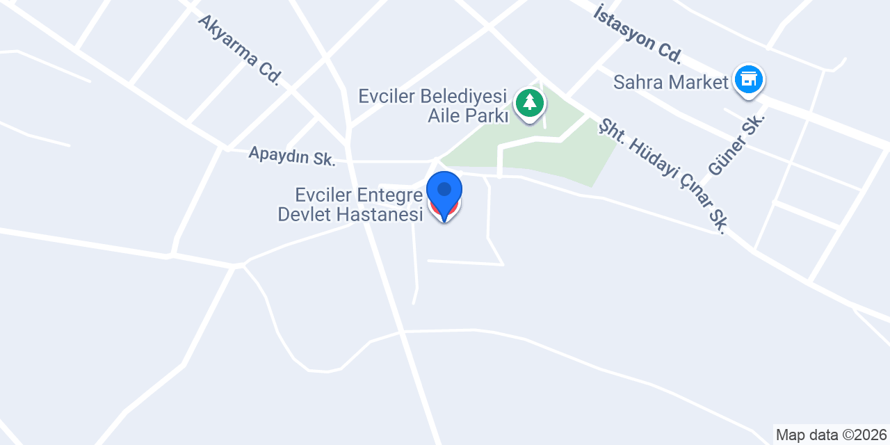 Evciler Entegre Devlet Hastanesi konumu