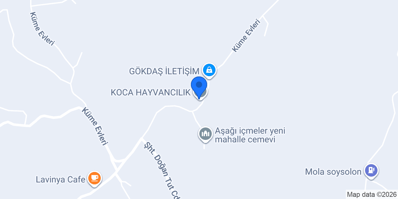 KOCA HAYVANCILIK konumu