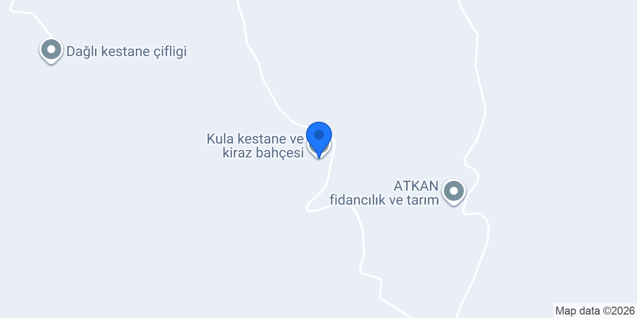 Kula kestane ve kiraz bahçesi konumu