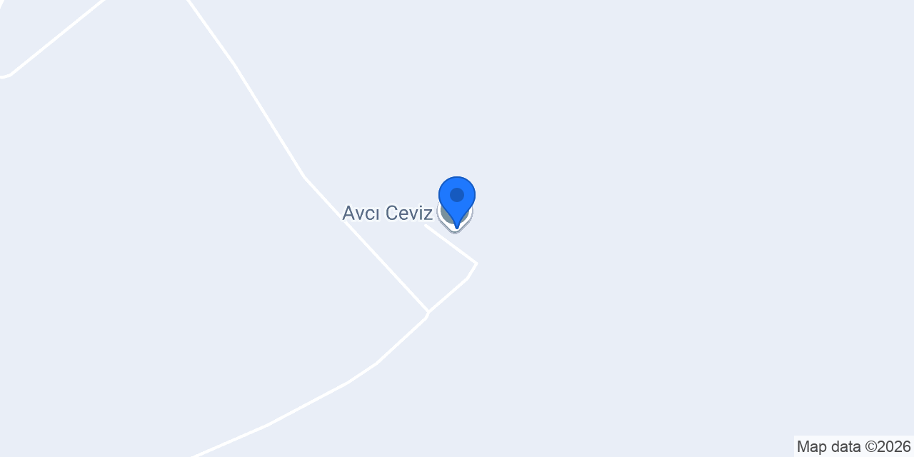Avcı Ceviz konumu