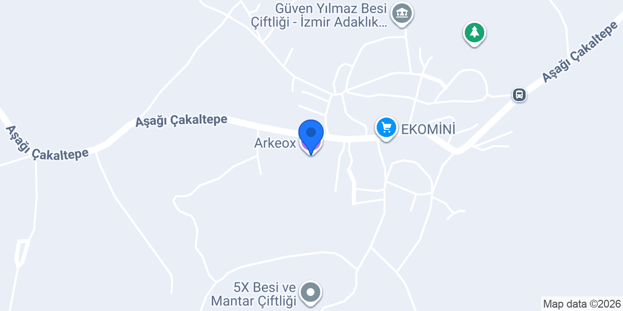Arkeox konumu