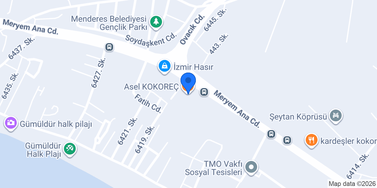 Asel KOKOREÇ konumu