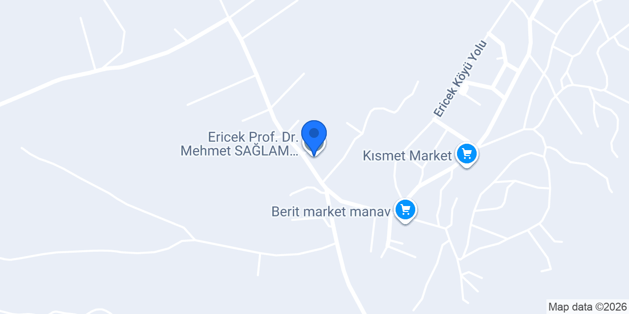 Ericek Prof. Dr. Mehmet SAĞLAM Çok Proğramli Lisesi konumu