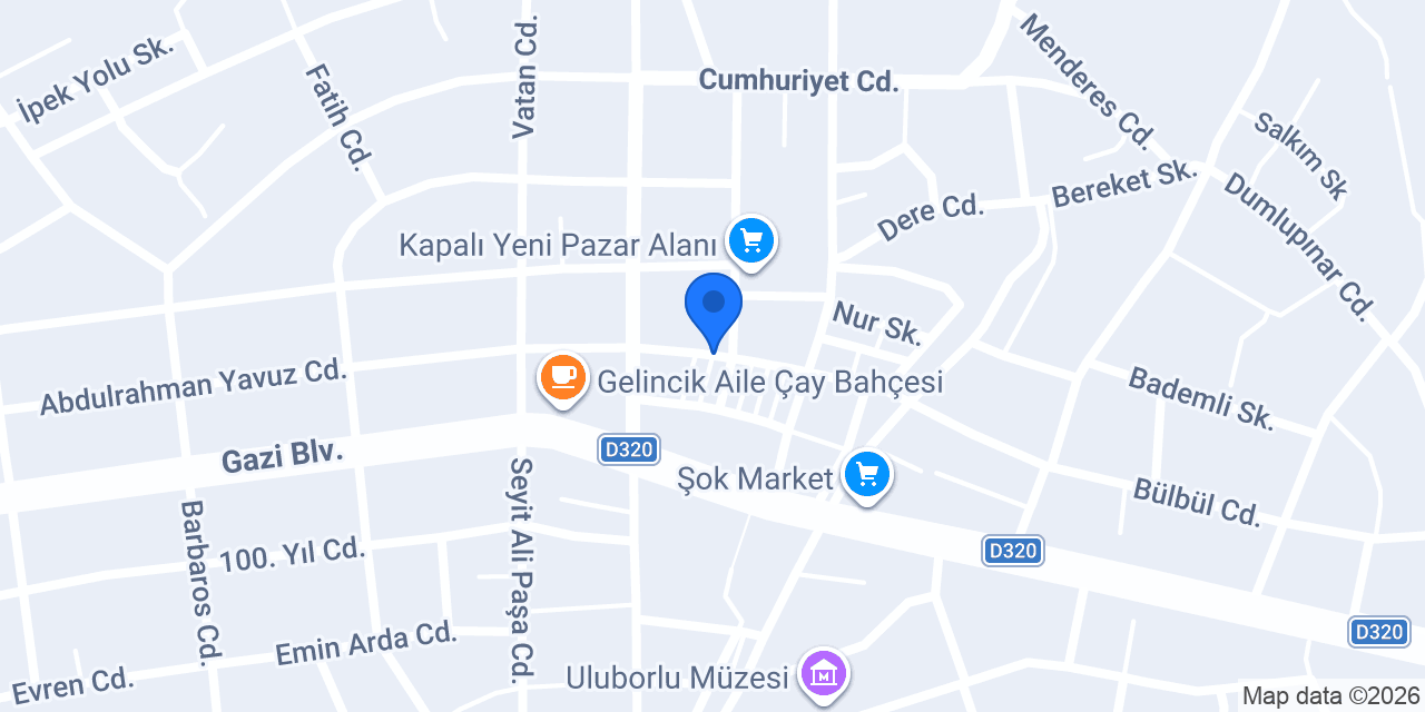 Dilek Ticaret konumu