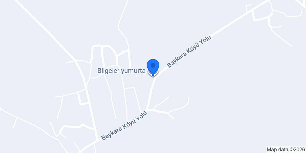 Bilgeler yumurta konumu