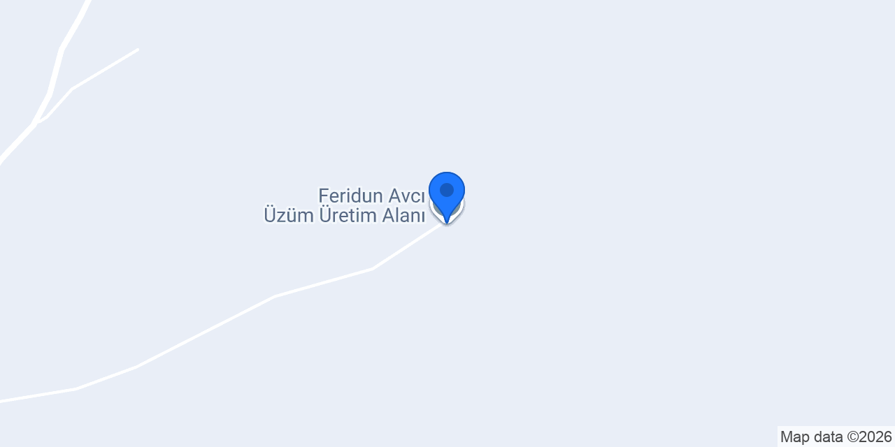 Feridun Avcı Üzüm Üretim Alanı konumu