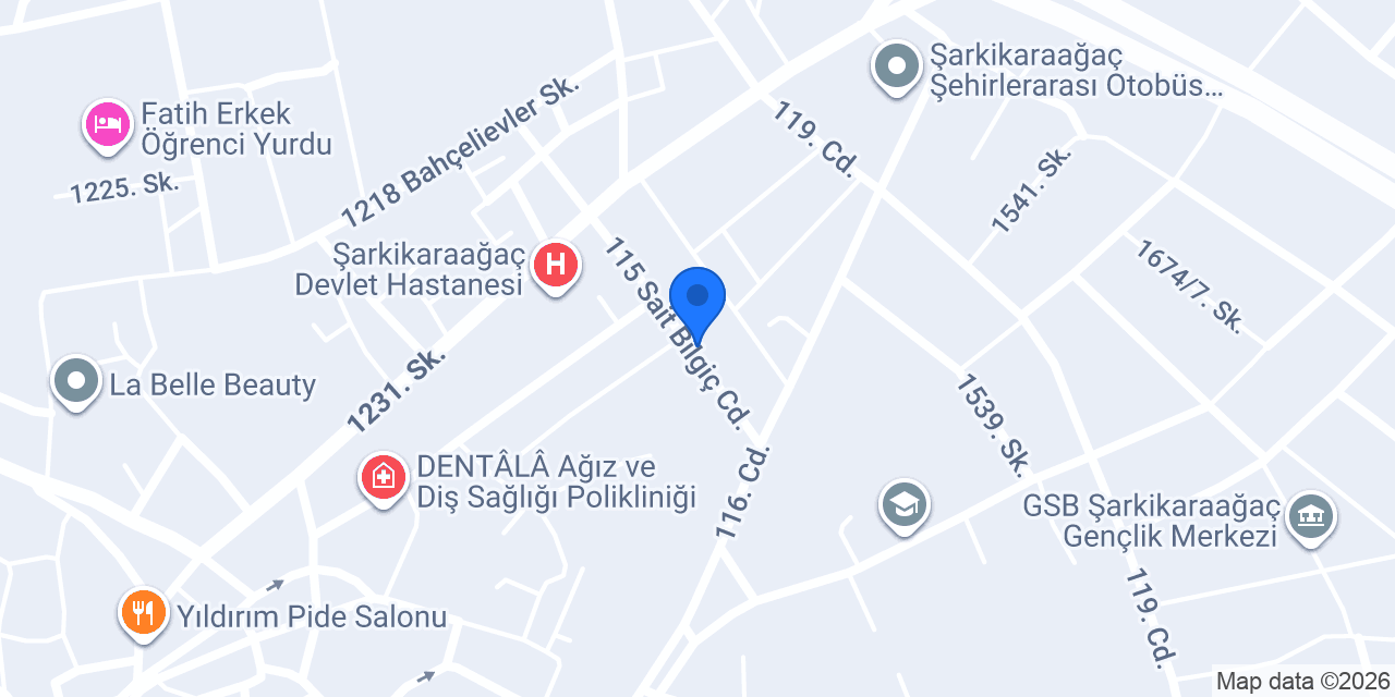 Şarkikaraağac Lisesi konumu
