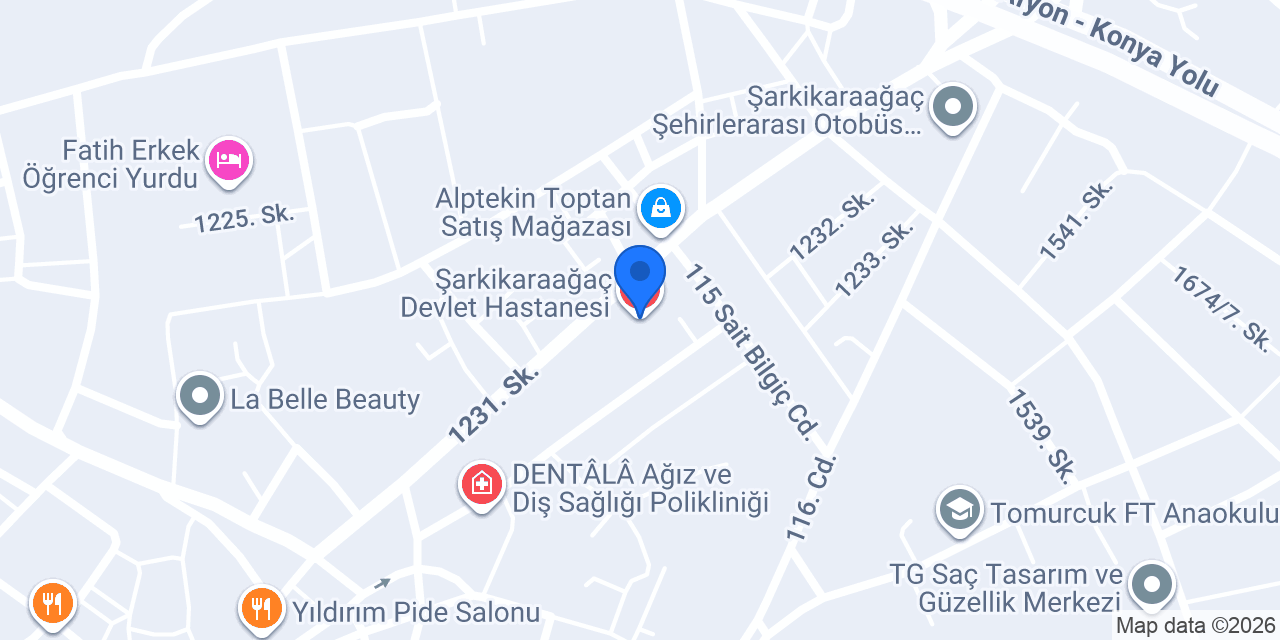 Şarkikaraağaç Devlet Hastanesi konumu