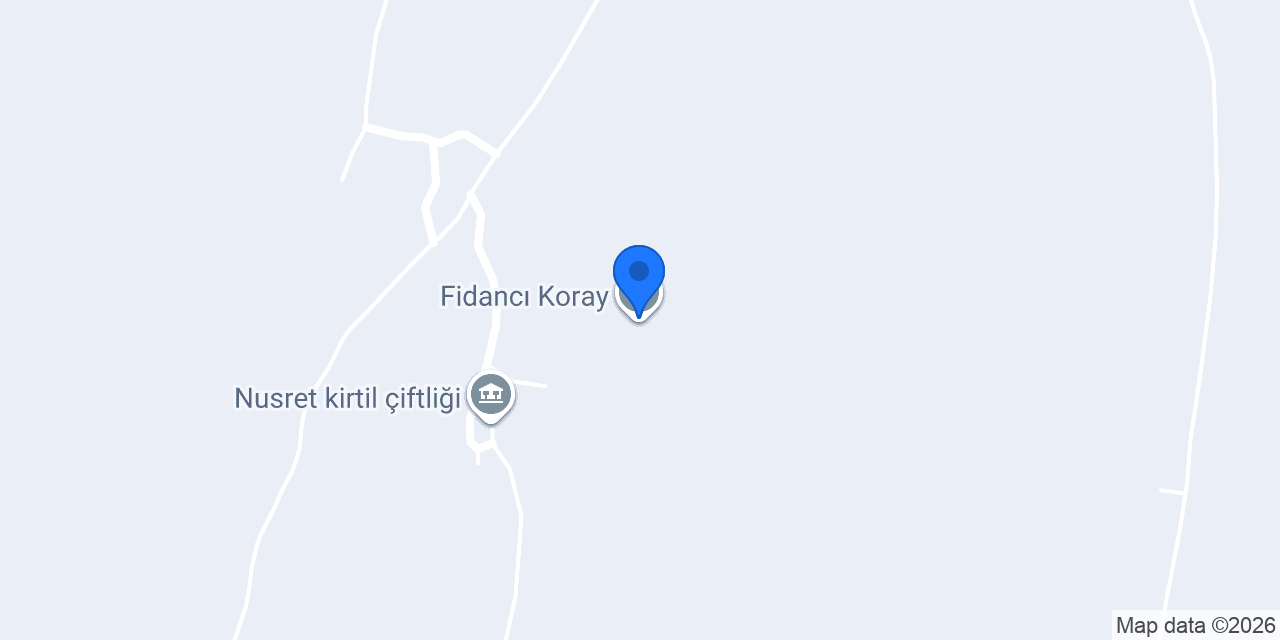 Fidancı Koray konumu