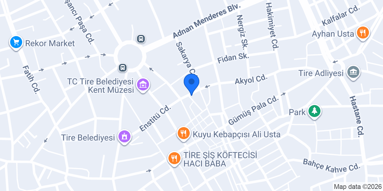 Tire Anadolu Emlak konumu