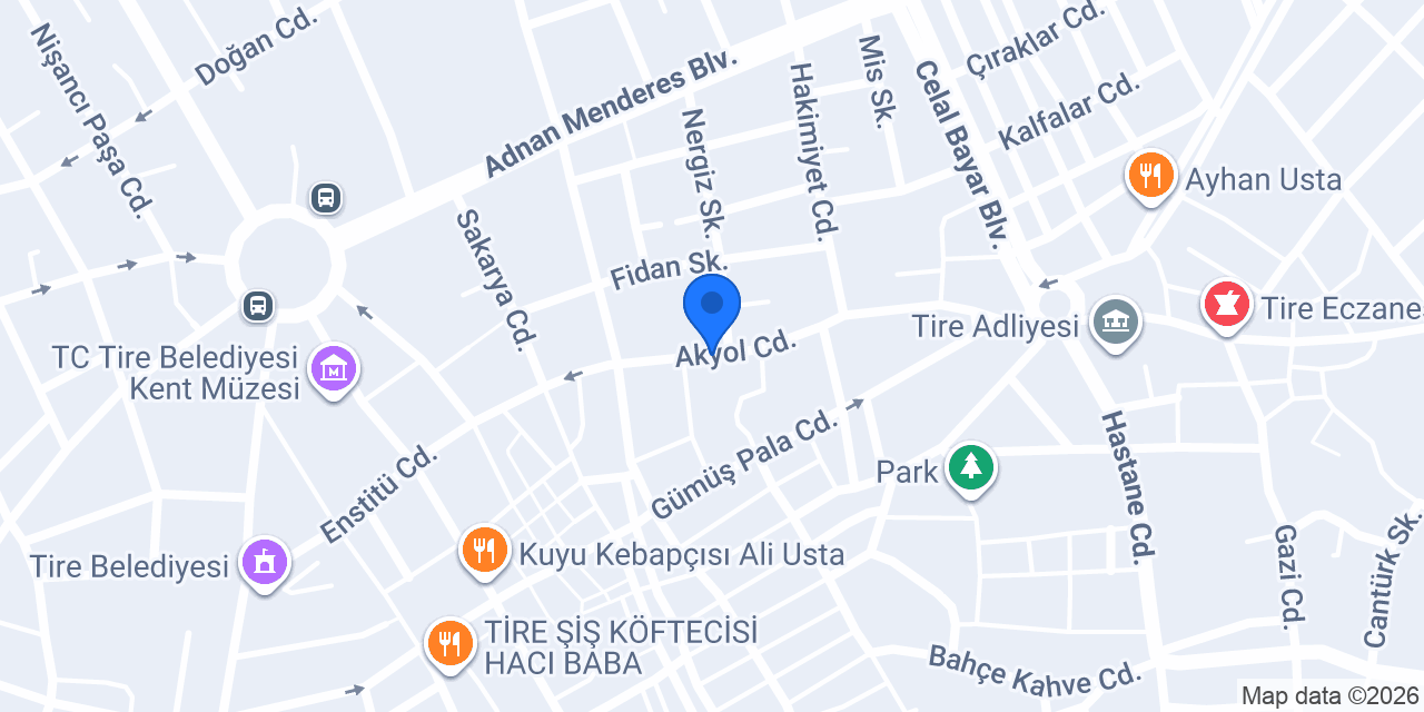 Tire Arslan Emlak konumu