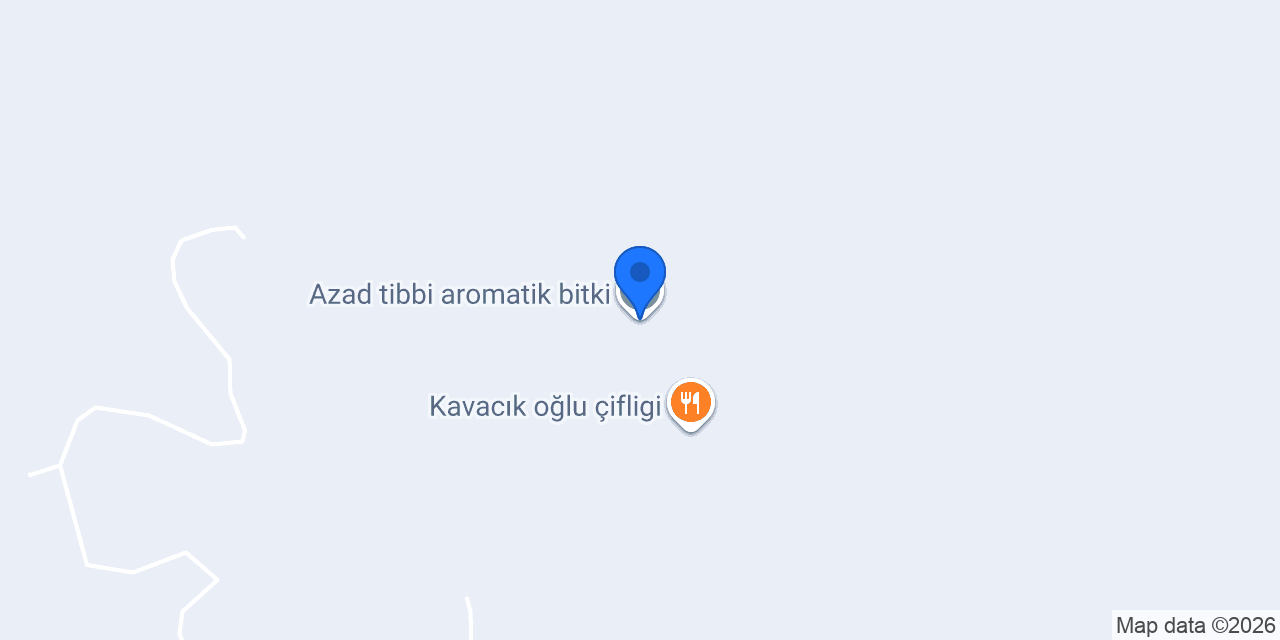 Azad tibbi aromatik bitki konumu