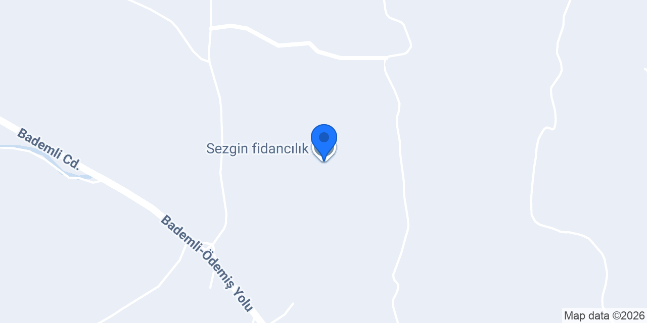 Sezgin fidancılık konumu