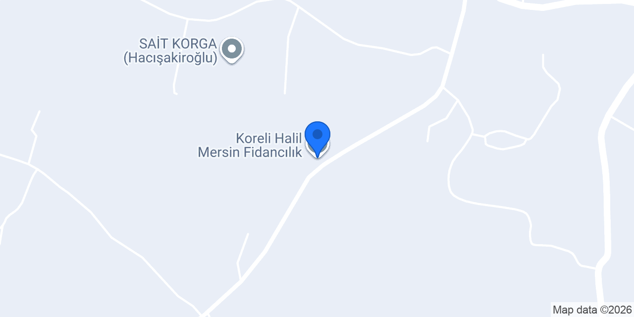 Koreli Halil Mersin Fidancılık konumu