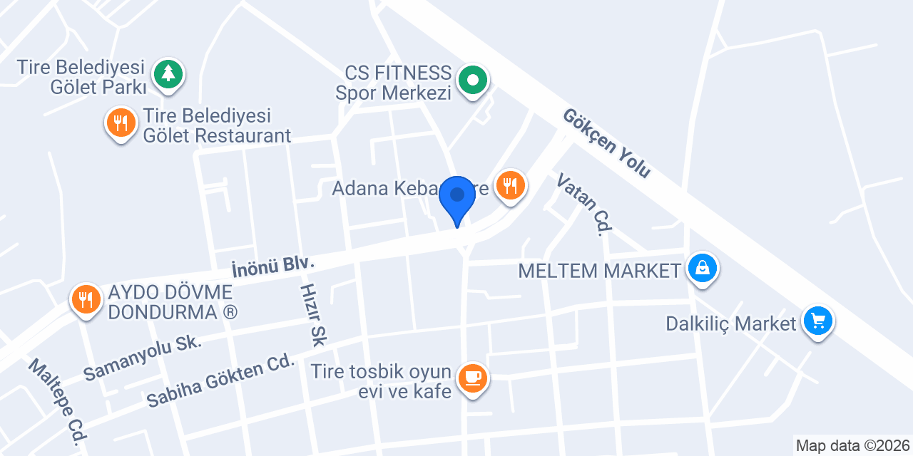Tire Vizyon Auto konumu