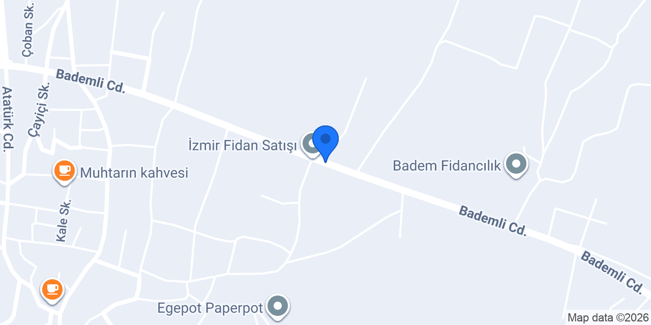 Ovakent Fidancılık konumu