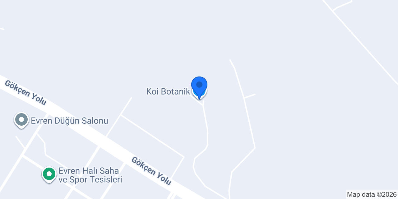 Koi Botanik konumu