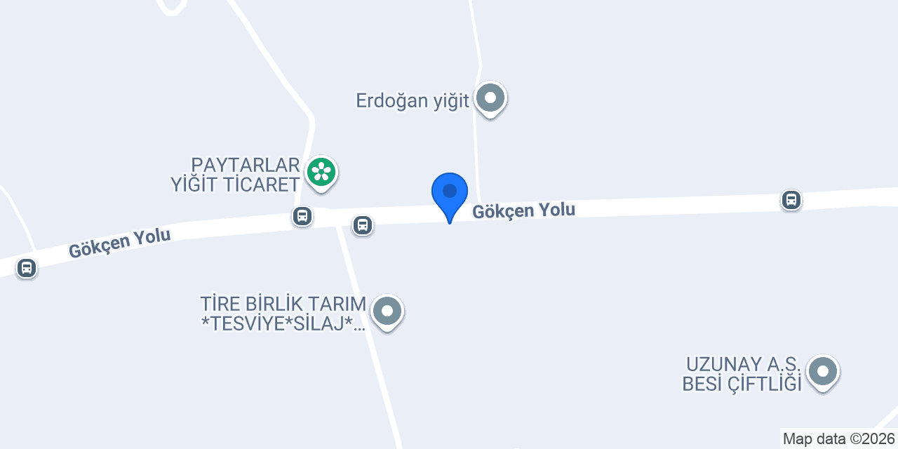 Soylu köfte konumu