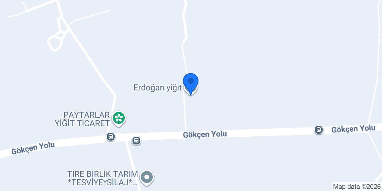 Erdoğan yiğit konumu