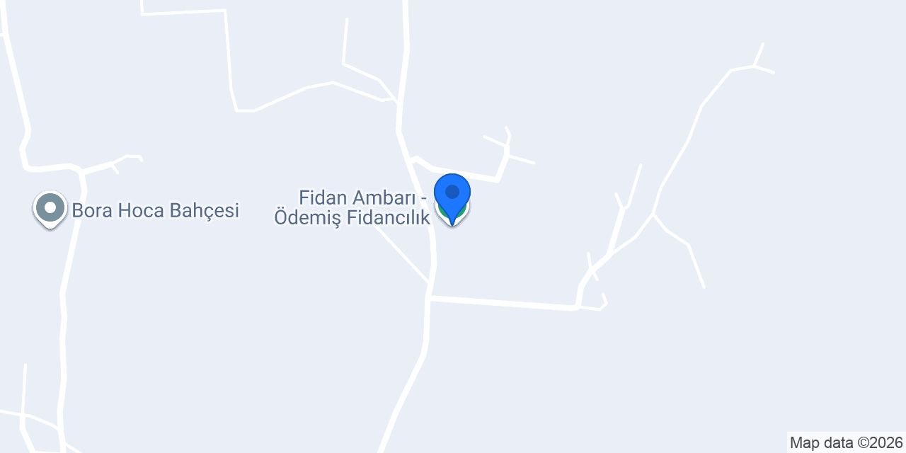 Fidan Ambarı - Ödemiş Fidancılık konumu