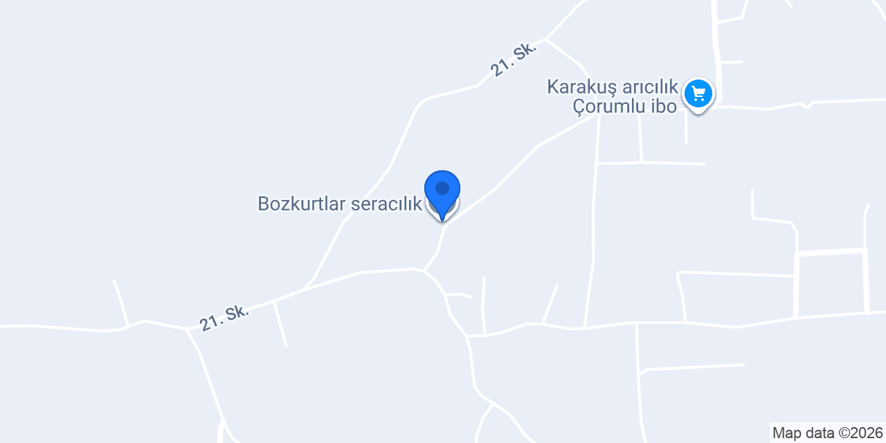 Bozkurtlar seracılık konumu